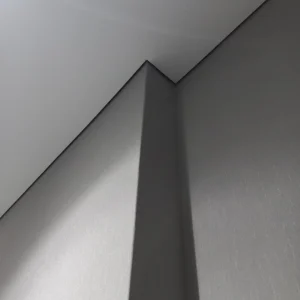 1000008441