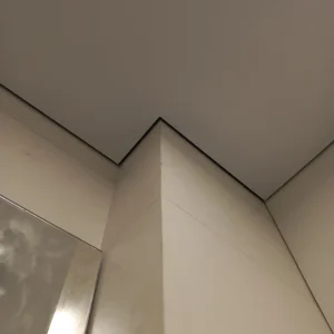 1000009768