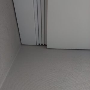 1000011331